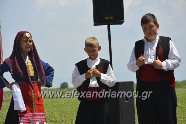 alexandriamou.gr_trikala28.5.2018179